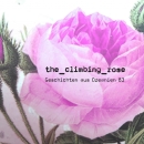 the_climbing_rose (Autorin)