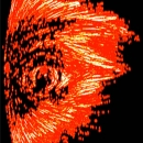 Carlus Brinkmichel