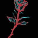 Amy Gdala