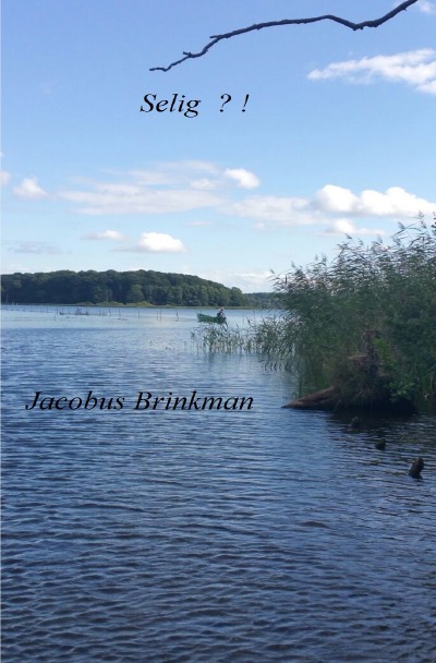 'Cover von Selig'-Cover