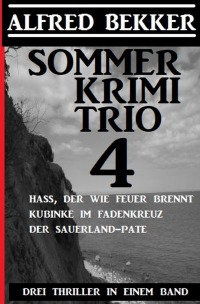 Sommer Krimi Trio 4 -  Drei Thriller in einem Band - Alfred Bekker