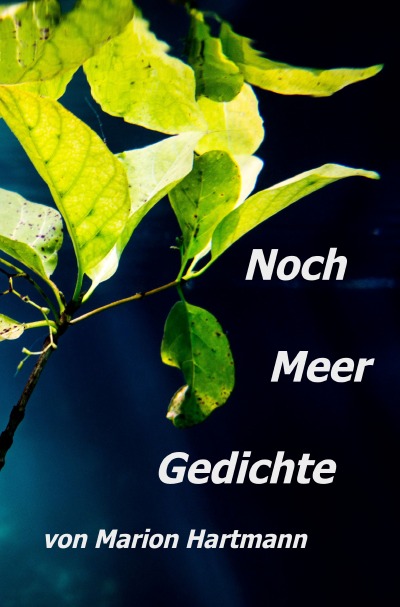 'Cover von Noch Meer Gedichte'-Cover
