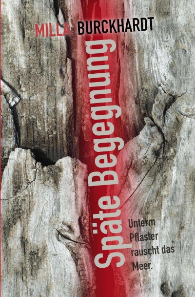 'Cover von Späte Begegnung'-Cover