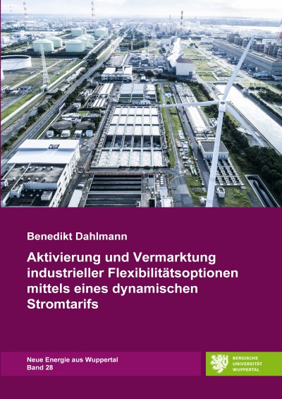 'Cover von Aktivierung und Vermarktung industrieller Flexibilitätsoptionen mittels eines dynamischen Stromtarifs'-Cover