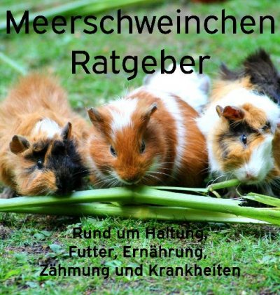 'Cover von Meerschweinchen Ratgeber.'-Cover