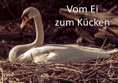 'Vom Ei zum Kücken'-Cover