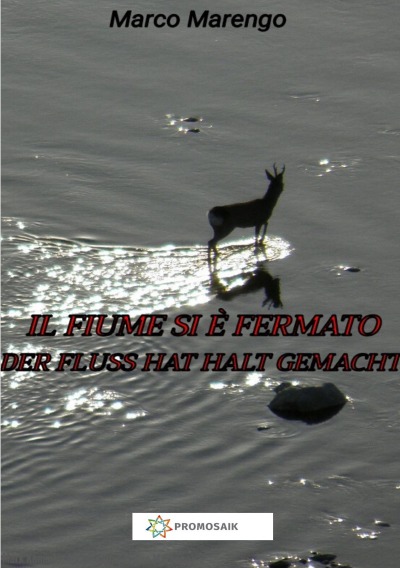 'Cover von Il fiume si è fermato / Der Fluss hat Halt gemacht'-Cover