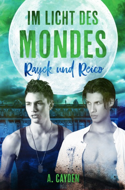 'Im Licht des Mondes'-Cover
