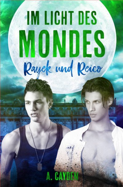 'Im Licht des Mondes'-Cover