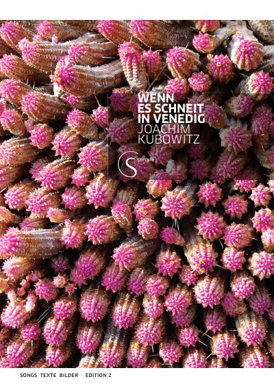 'Cover von Wenn es schneit in Venedig'-Cover