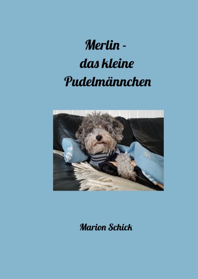 'Cover von Merlin – das kleine Pudelmännchen'-Cover