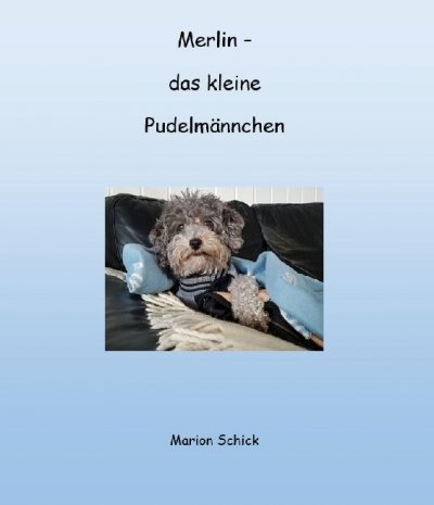 'Cover von Merlin – das kleine Pudelmännchen'-Cover