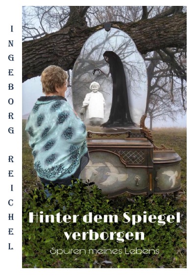 'Hinter den Spiegel verborgen'-Cover