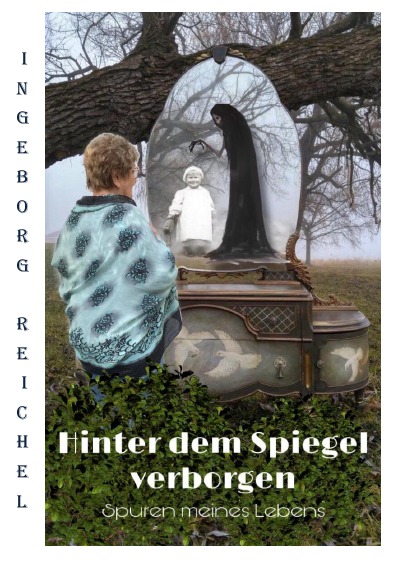 'Cover von Hinter den Spiegel verborgen'-Cover