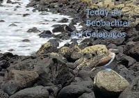 Teddy als Beobachter auf Galapagos - Helga Merkelbach