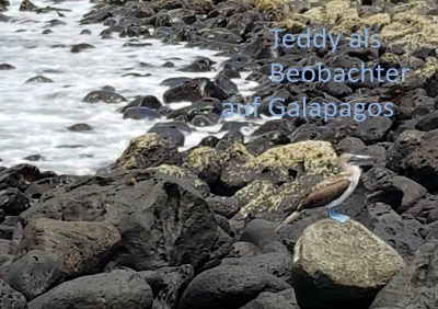 'Cover von Teddy als Beobachter auf Galapagos'-Cover
