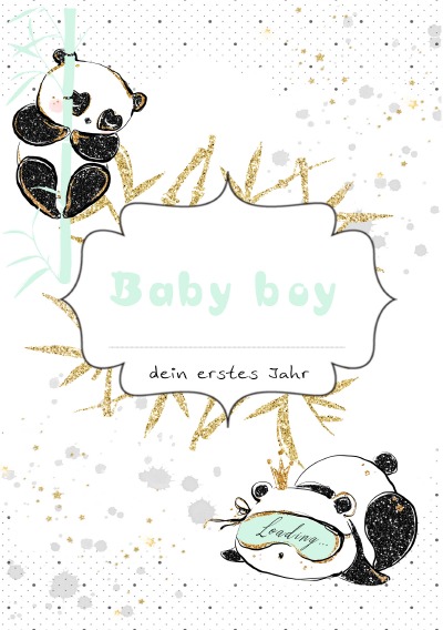 'Baby boy dein erstes Jahr'-Cover