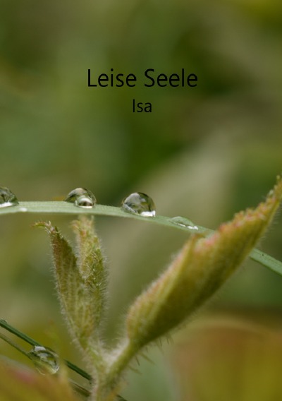 'Cover von Leise Seele'-Cover