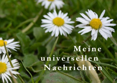 'Cover von Universelle Nachrichten (A6 quer)'-Cover