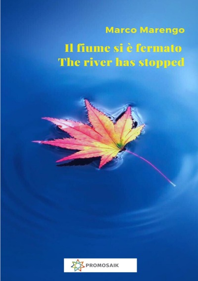 'Cover von Il fiume si è fermato / The river has stopped'-Cover