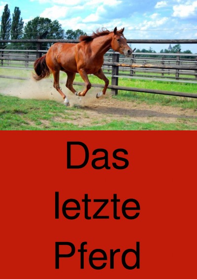 'Das letzte Pferd'-Cover