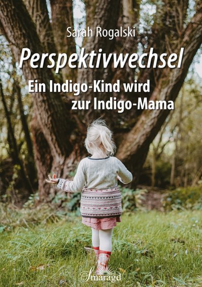 'Perspektivwechsel'-Cover