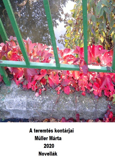 'A teremtés kontárjai'-Cover