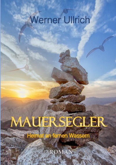 'Mauersegler'-Cover