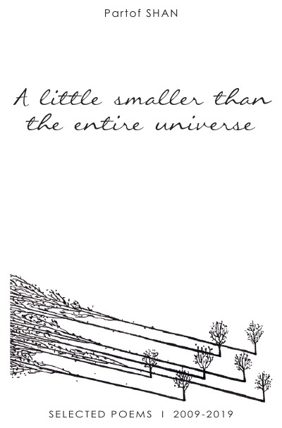 'A Little Smaller Than The Entire Universe'-Cover