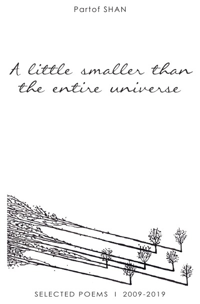 'Cover von A Little Smaller Than The Entire Universe'-Cover