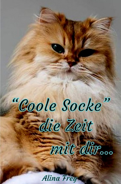 'Cover von “Coole Socke“ die Zeit mit dir'-Cover