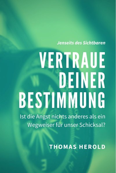 'Cover von Vertraue Deiner Bestimmung – Ist die Angst nichts anderes als ein Wegweiser für unser Schicksal?'-Cover