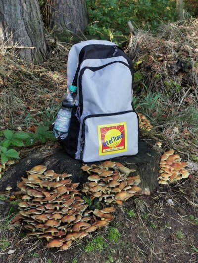 'Cover von Ein Wandertag in der Sächsischen Schweiz'-Cover