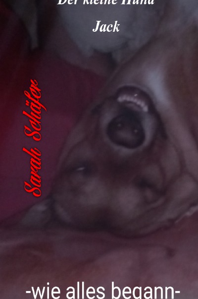 'Cover von der kleine Hund Jack'-Cover