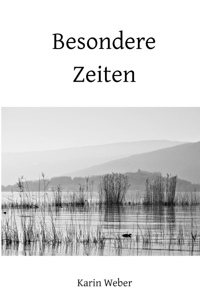 'Cover von Besondere Zeiten'-Cover