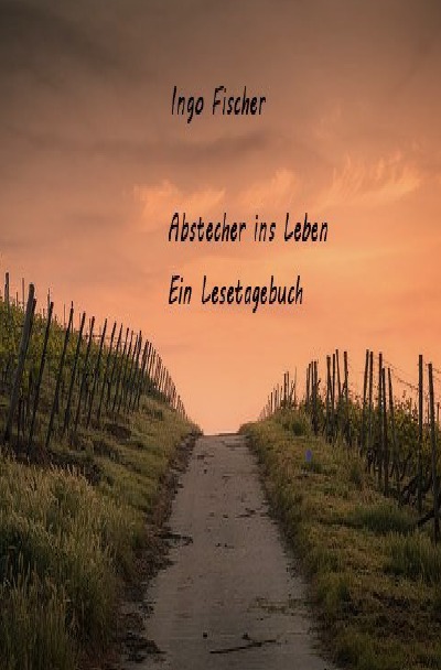 'Cover von Abstecher ins Leben'-Cover
