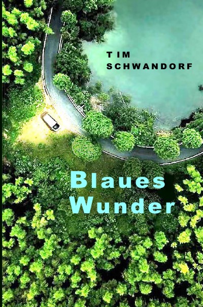 'Blaues Wunder'-Cover