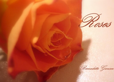 'Cover von Roses'-Cover
