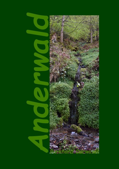'Cover von Anderwald'-Cover