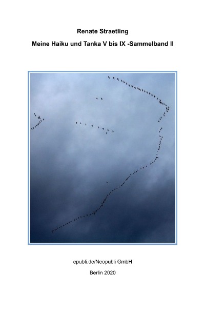 'Cover von Meine Haiku und Tanka V bis IX – Sammelband II'-Cover