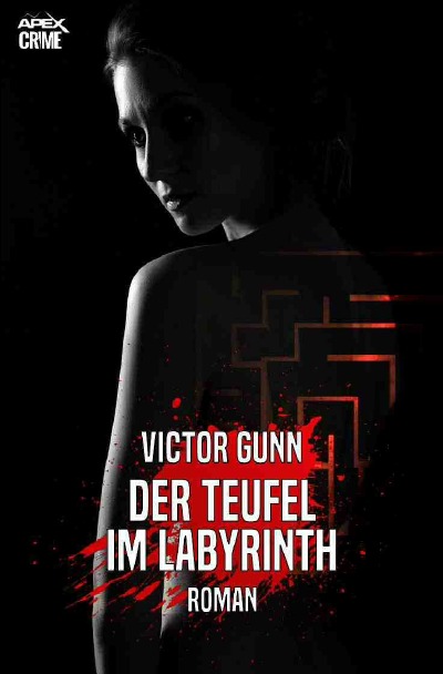 'Cover von DER TEUFEL IM LABYRINTH'-Cover