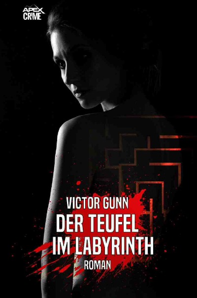 'Cover von DER TEUFEL IM LABYRINTH'-Cover