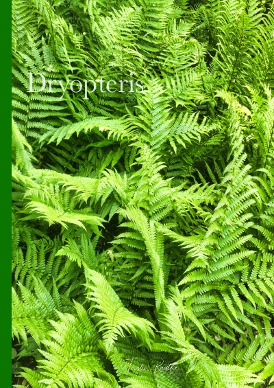 'Dryopteris'-Cover