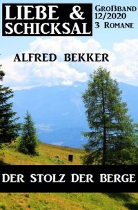 Der Stolz der Berge: Liebe & Schicksal Großband 12/2020 - Alfred Bekker