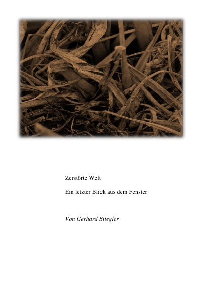 'Cover von Ein letzter Blick aus dem Fenster'-Cover