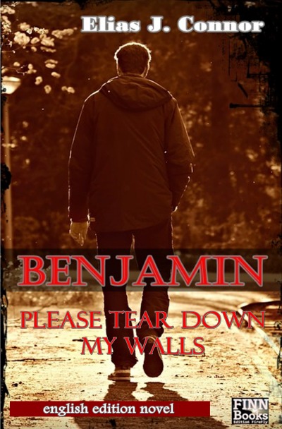'Cover von Benjamin – Please tear down my walls'-Cover