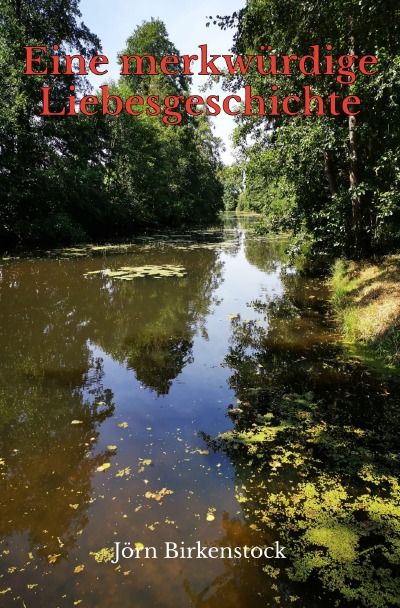 'Cover von Eine merkwürdige Liebesgeschichte'-Cover