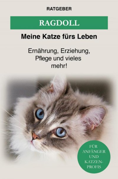 'Cover von Ragdoll'-Cover