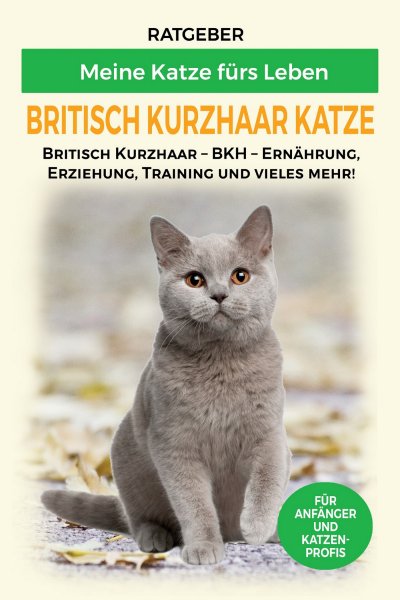'Britisch Kurzhaar Katze'-Cover