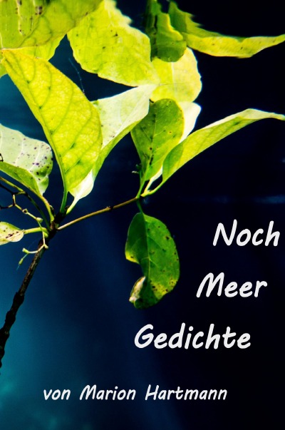 'Cover von Noch Meer Gedichte'-Cover
